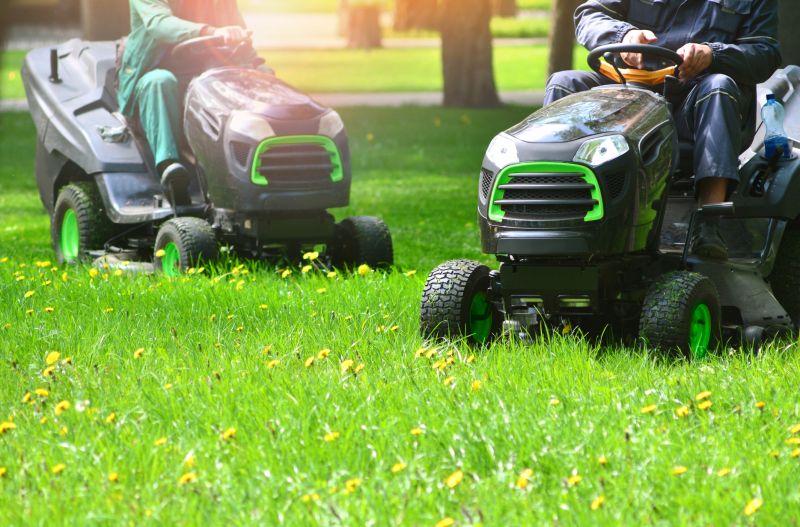 Bush Hogging Service