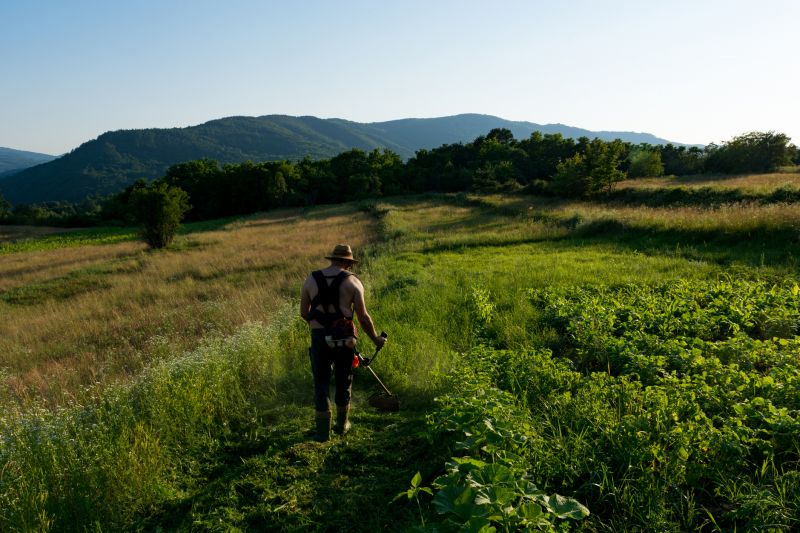 Meadow Mowing