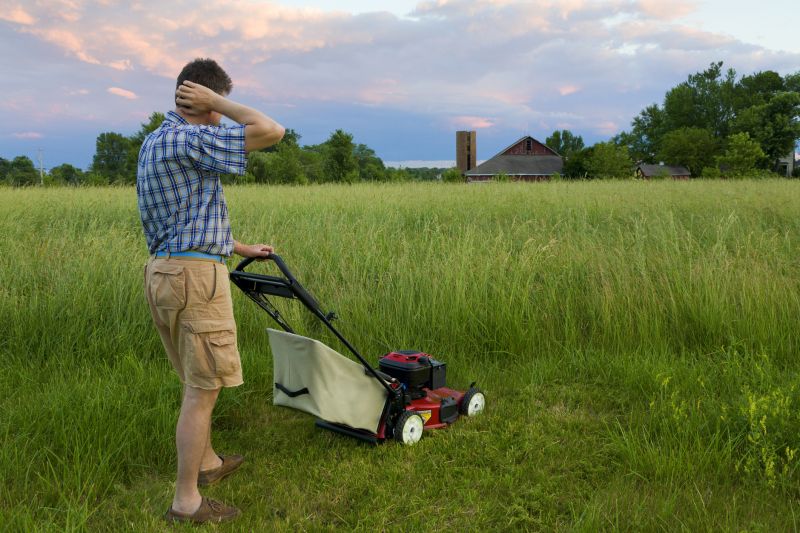 Meadow Mowing