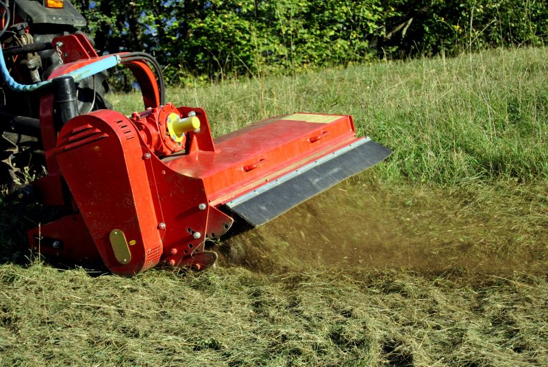 Land After Bush Hogging