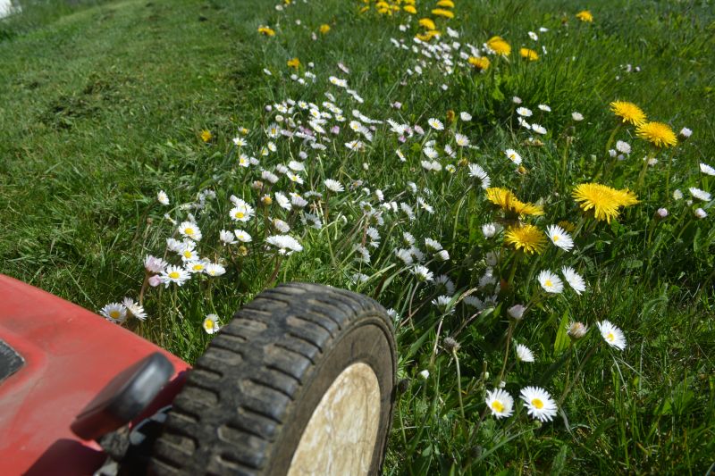 Meadow Mowing in Spring