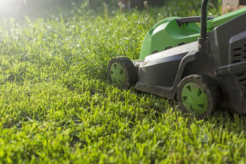 Routine Lawn Care in Bowie, MD
